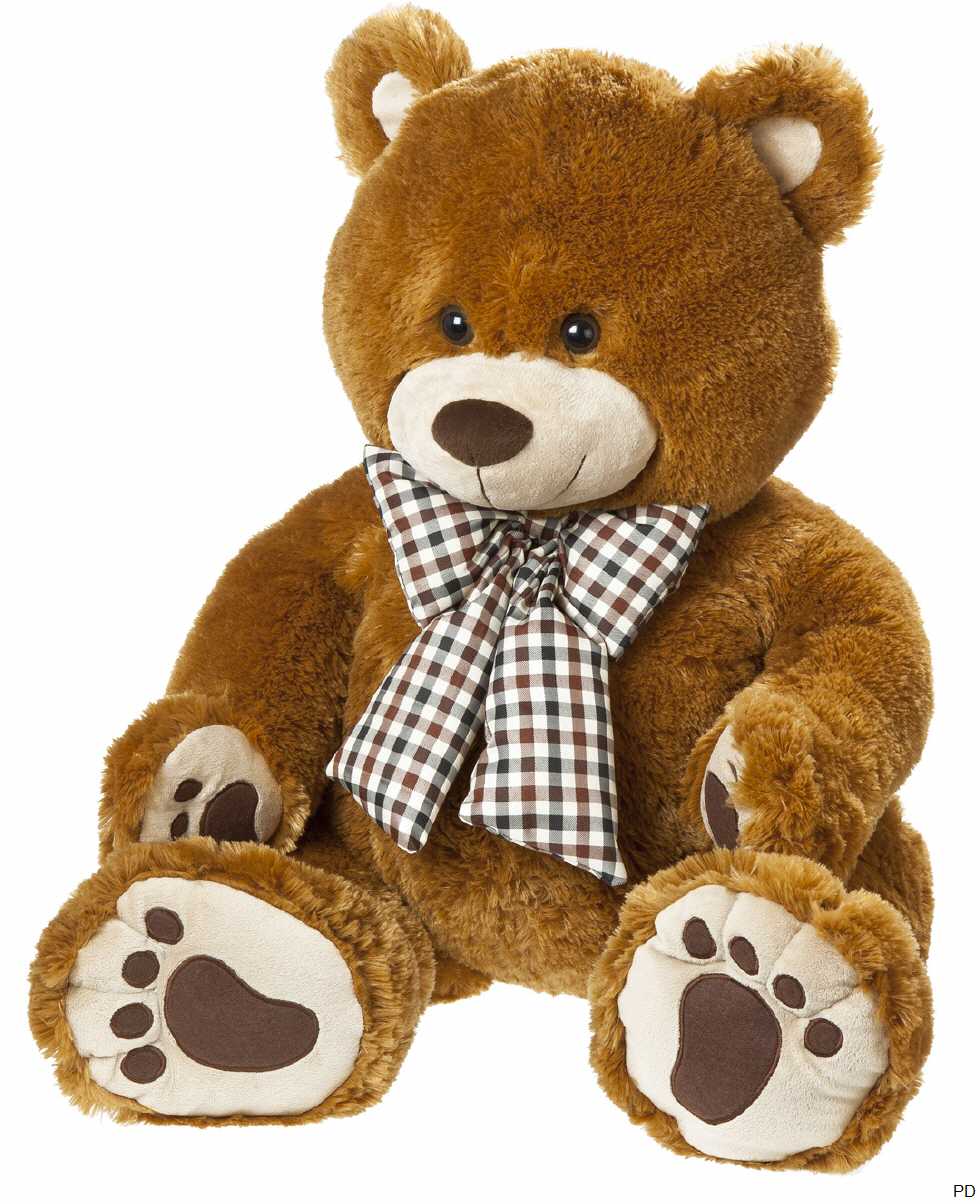 Teddybär