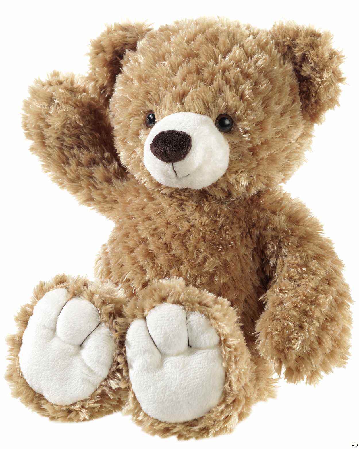 Teddybär